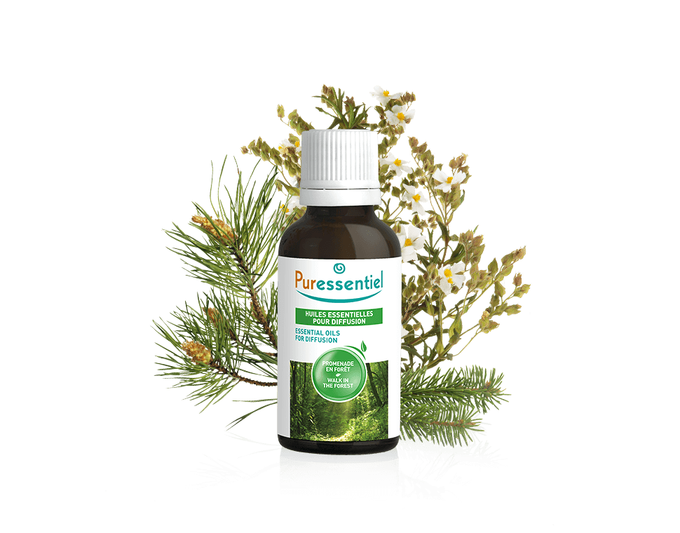 Diffuse Walk in the Forest - Essential oils for diffusion - 30 ml