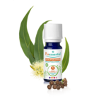Bio Lemon Eucalyptus - 10 ml