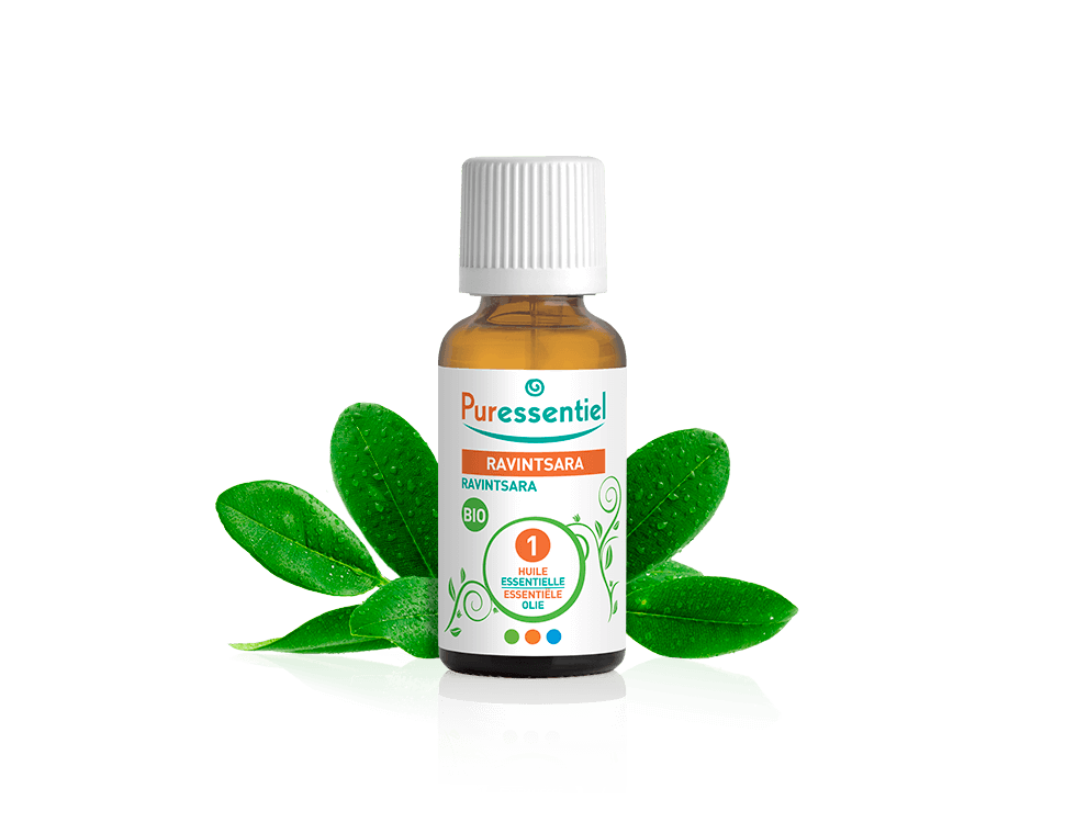 Ravintsara BIO  - 30 ml