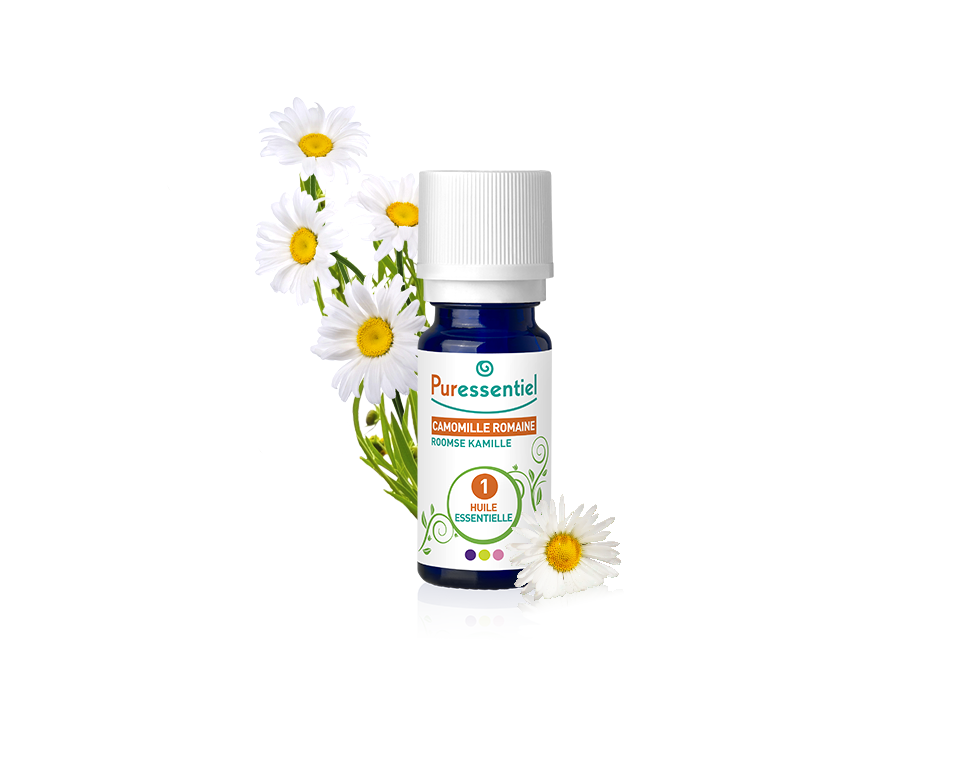 Roman chamomile - 5 ml