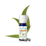 Eucalyptus globular BIO - 10 ml