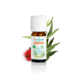 Radiated Eucalyptus   - 10 ml