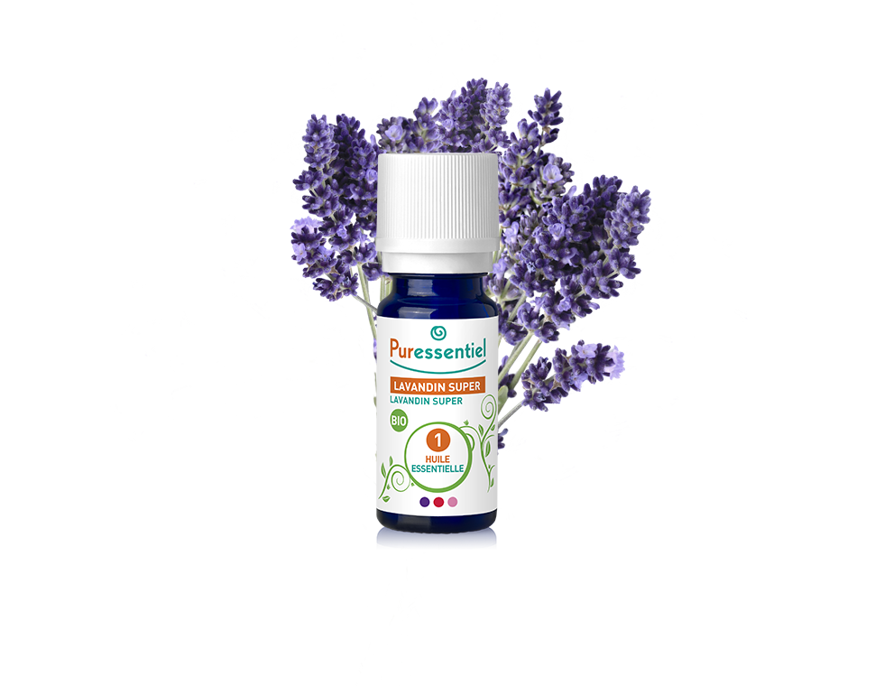 Lavandin super BIO  - 10 ml