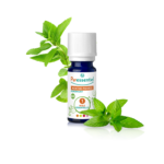 BIO Peppermint - 10 ml