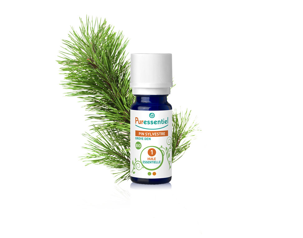 ORGANIC Scots Pine  - 5 ml